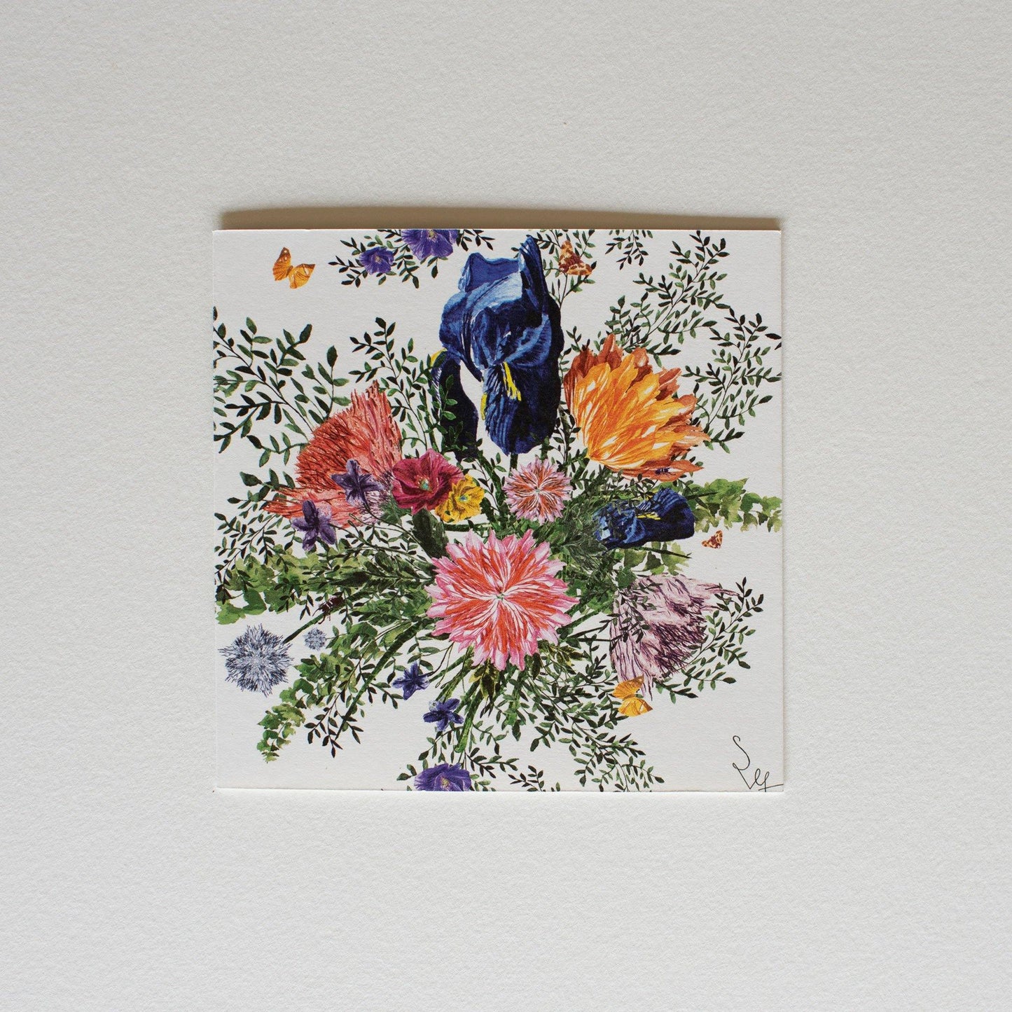 Colourful floral illustrated square folded card Dramatic Iris.